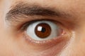 Shot of young man brown eye Royalty Free Stock Photo