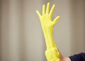 Time to get this spring cleaning done. Shot of a young woman applying cleaning rubber gloves. Royalty Free Stock Photo
