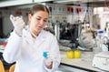 Shot of an young woman using equipment to work in a laboratory Royalty Free Stock Photo