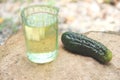 shotglass and a cucumber. traditional homemade medicine. aesthetics of alcoholism. full shotglass and a pickle