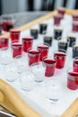 Shotglasses with different liquers Royalty Free Stock Photo