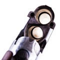 Shotgun breech closeup on white Royalty Free Stock Photo