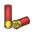 Shotgun cartridge color sketch engraving vector