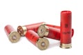 Shotgun cartridges isolated Royalty Free Stock Photo