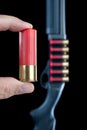 Shotgun shell Royalty Free Stock Photo