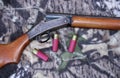 Shotgun and shells Royalty Free Stock Photo
