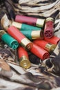 Shotgun shells. Royalty Free Stock Photo