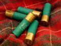 Shotgun Shells Royalty Free Stock Photo