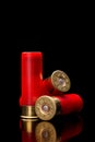 Shotgun shells on a black reflective surface. Ammunition for 12 gauge smoothbore weapons. Hunting ammunition. Dark back Royalty Free Stock Photo