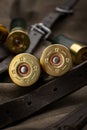 Shotgun shells close-up. Ammunition for smoothbore weapons on a khaki canvas backpack. Dark back Royalty Free Stock Photo