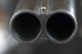 Shotgun trunks Royalty Free Stock Photo