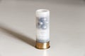 A ShotgunShell Royalty Free Stock Photo