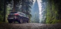 Jeep Cherokee TrailHawk in mounting forest