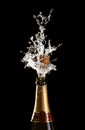 Shotting cork champagne bottle Royalty Free Stock Photo