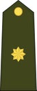 Shoulder army mark insignia of the Spanish COMMANDANT