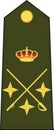 Shoulder army mark insignia of the Spanish LIEUTENANT GENERAL