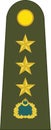 Shoulder army mark insignia of the Turkish ALBAY