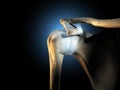 Shoulder joint with ligaments, medical 3D illustration Royalty Free Stock Photo