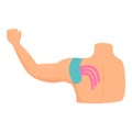 Shoulder move kinesio icon cartoon vector. Tape sport