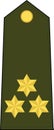 Shoulder army mark insignia of the Spanish CAPTAIN