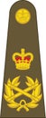 Shoulder army mark insignia of the British FIELD MARSHAL Royalty Free Stock Photo