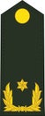 Shoulder pad military NATO officer insignia of the Dutch BRIGADEGENERAAL BRIGADIER GENERAL