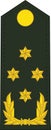 Shoulder pad military NATO officer insignia of the Dutch GENERAAL GENERAL OFFICER