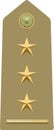 Shoulder pad military officer insignia of the Italy PRIMO CAPITANO (FIRST CAPTAIN)