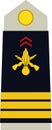 Shoulder pad military officer insignia of the France CAPITAINE (CAPTAIN) Royalty Free Stock Photo