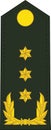 Shoulder pad military NATO officer insignia of the Dutch LUITENANT-GENERAAL LIEUTENANT GENERAL