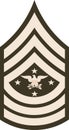 Shoulder pad military enlisted rank insignia of the USA Army SENIOR ENLISTED ADVISOR TO THE CHAIRMAN Royalty Free Stock Photo