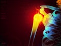 shoulder pain with the anatomy of a skeleton Royalty Free Stock Photo