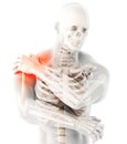 Shoulder painful skeleton x-ray, 3D illustration. Royalty Free Stock Photo