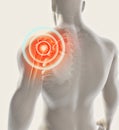 Shoulder painful skeleton x-ray, 3D illustration. Royalty Free Stock Photo