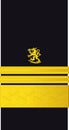 Shoulder sleeve pad military officer insignia of the Finland Navy VARA-AMIRAALI (VICE ADMIRAL)