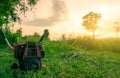 Shoulder type grass cutting machine. Lawn mower engine. Weed and grass mowing with petrol lawn mower in the morning with sunrise Royalty Free Stock Photo