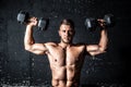 Young strong sweaty man shoulders workout training with two dumbbells in the gym dark image with shadows Royalty Free Stock Photo