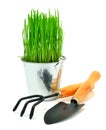 Shovel, aluminium bucket with grass, rake garden tools