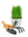 Shovel, aluminium bucket with grass, rake garden tools