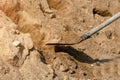 Shovel on the background of a pile of gravel close-up Royalty Free Stock Photo