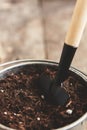 A shovel in a bucket with soil-soil, close-up. Concept of garden Royalty Free Stock Photo