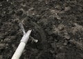 Shovel digging the black earth in the spring in the garden Royalty Free Stock Photo