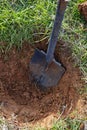 Shovel digs a hole for tree planting. Royalty Free Stock Photo