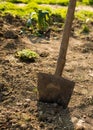 Shovel in the garden tool