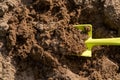Shovel in the ground. A bed in the garden. Spring, summer time. Cultivation of the land Royalty Free Stock Photo