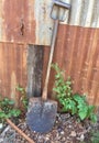 Shovel leaning against rusty shed