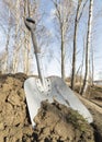 Shovel in Pile of Dirt