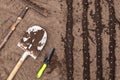Shovel and rake on brown soil in garden. Seeding pea seeds in ground on garden bed