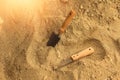 Shovel in the sand.Skeleton and archaeological tools.Digging for fossils.