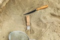 Shovel in the sand.Skeleton and archaeological tools.Digging for fossils.